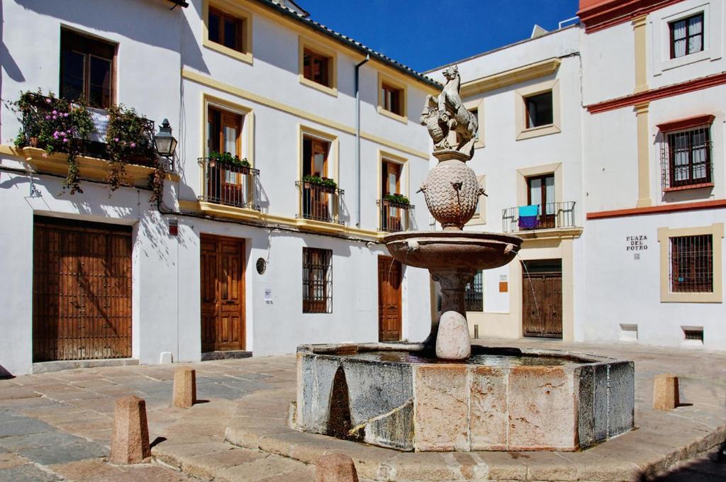 Lineros Apartament